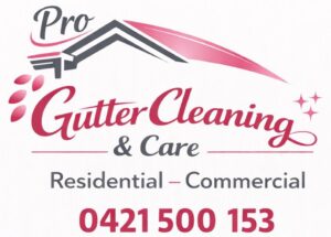 logo - pro gutter cleaning & care by daria