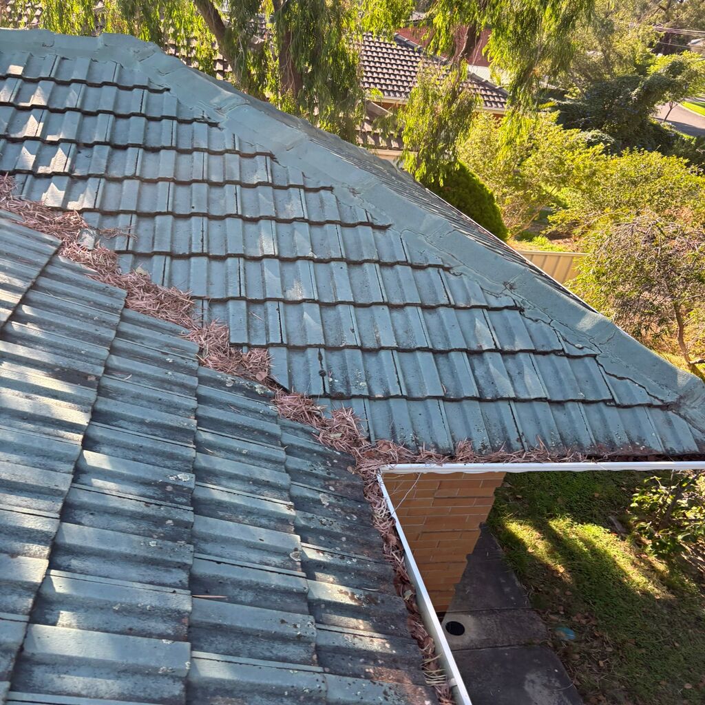 our work - after gutter service