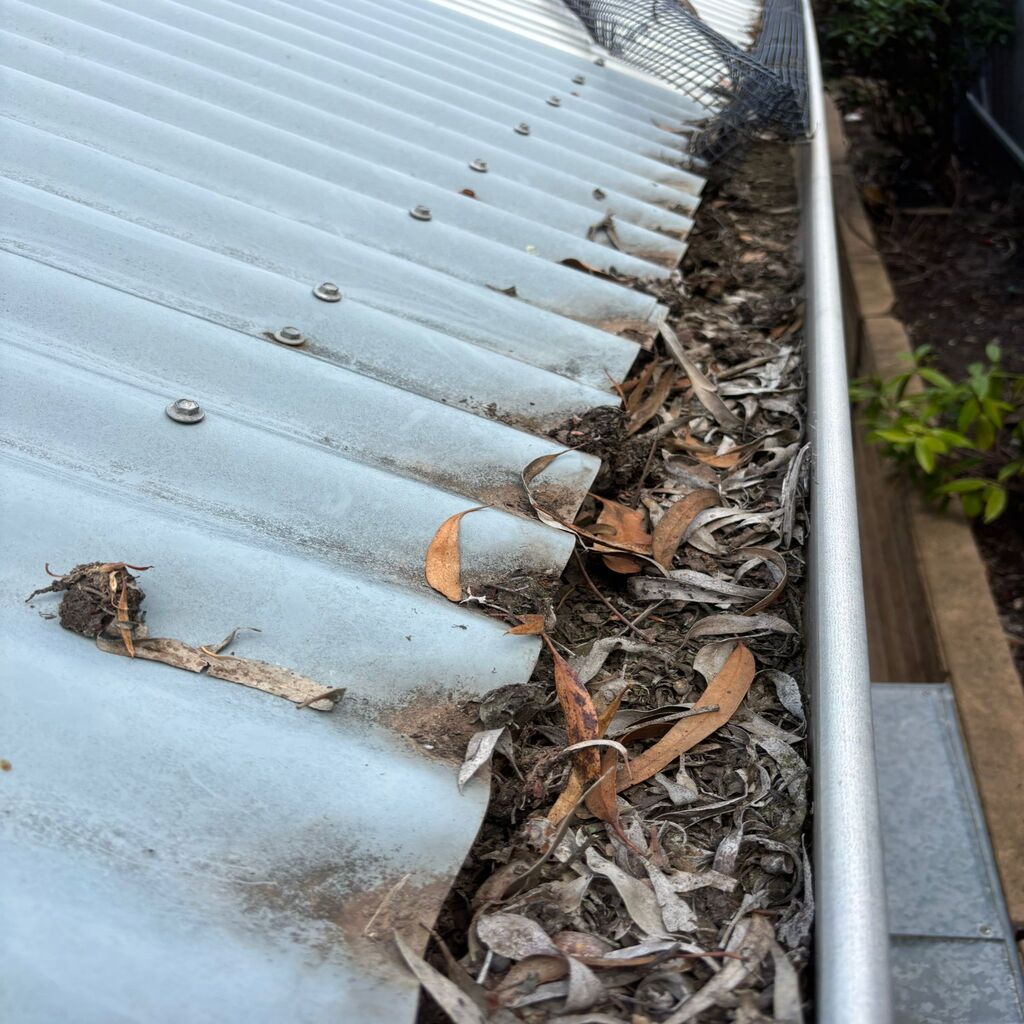 our work - before gutter service